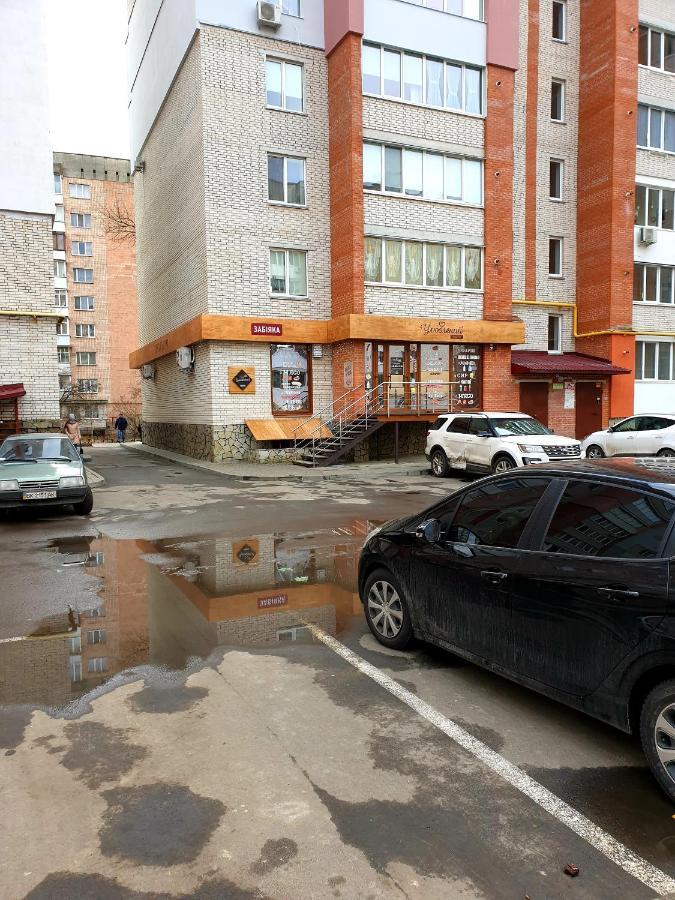 Apartment On Kravchuka, 11B 루치크 외부 사진