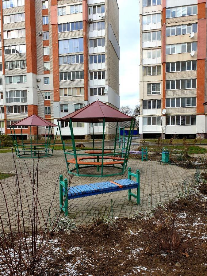 Apartment On Kravchuka, 11B 루치크 외부 사진